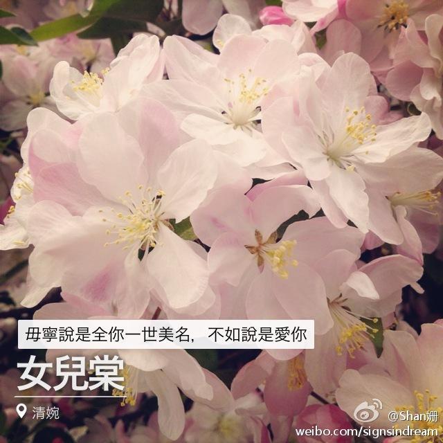 女儿棠封面