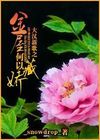 大汉新歌之金屋何以藏娇封面
