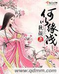 何以缘浅封面