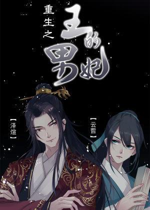 重生之王的男妃封面