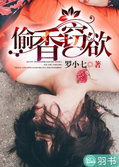 偷香窃欲封面