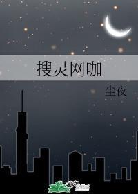 搜灵网咖封面