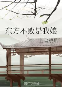 东方不败是我娘封面