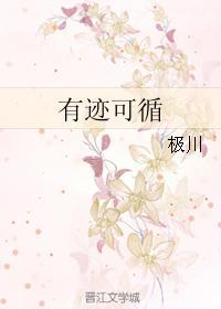 有迹可循封面