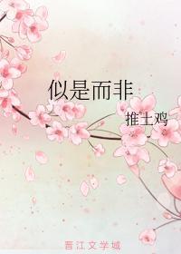 似是而非封面