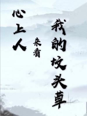 心上人来看我的坟头草封面