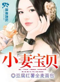 小妻宝贝封面