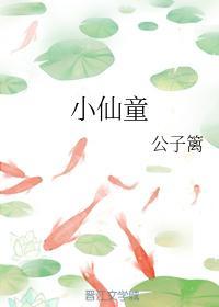 小仙童封面