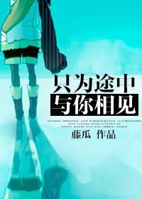 只为途中与你相见封面