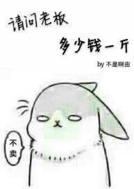 请问老板多少钱一斤封面
