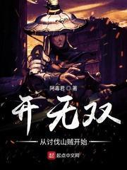 开无双从讨伐山贼开始封面