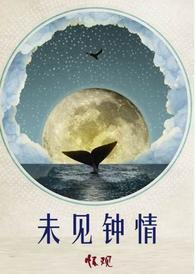 未见钟情封面