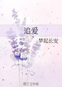 追爱封面