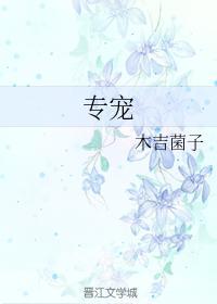 专宠封面