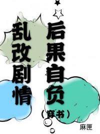 乱改剧情后果自负封面