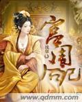 宫闱后记封面