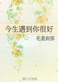 今生遇到你很好封面