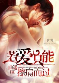 若爱只能擦肩而过封面