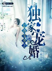 亿万宝贝之独家宠婚封面