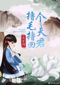 撸毛撸回个夫君封面