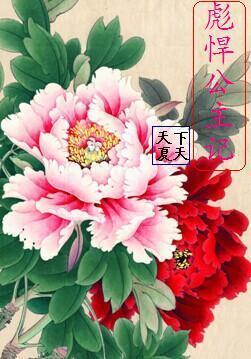 彪悍公主记封面