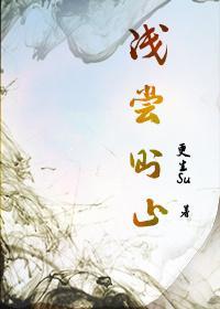 浅尝则止封面