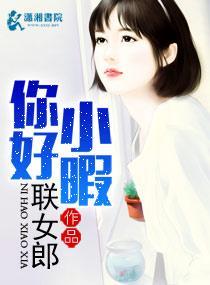 你好小暇封面