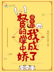 南宝衣萧弈封面