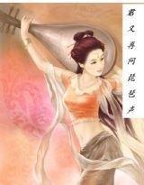 君又再闻琵琶声封面