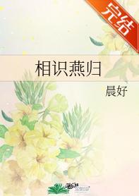 相识燕归封面