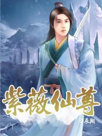 紫薇仙尊封面