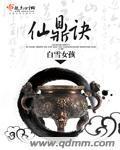 仙鼎诀封面