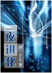 一夜进化封面