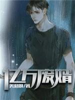 亿万废婿封面