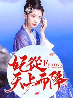 妃从天上而降封面