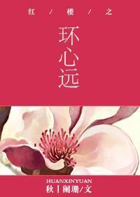 红楼之环心远封面