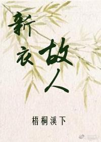 新衣故人封面