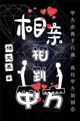 相亲相到甲方封面