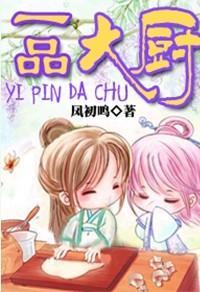 一品大厨封面