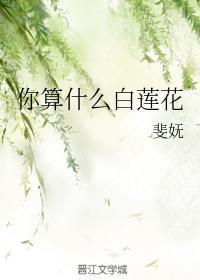 你算什么白莲花封面
