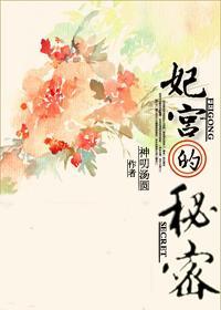 [综]妃宫的秘密封面