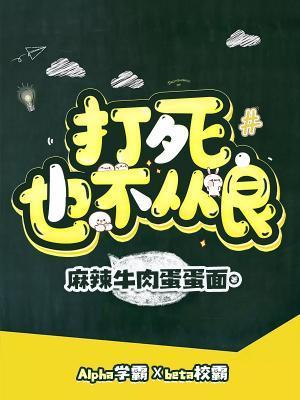 打死也不从良！封面