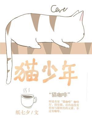 猫少年封面