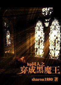 hp同人之穿成黑魔王封面