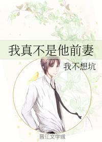 我真不是他前妻封面