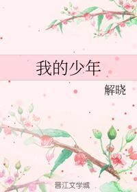 我的少年封面