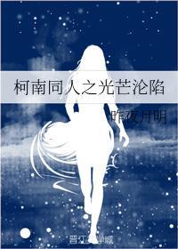 柯南同人之光芒沦陷封面