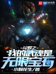 斗罗之我的武魂是无限宝石封面