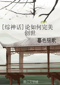 论如何完美创世封面
