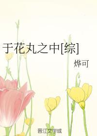 于花丸之中[综]封面